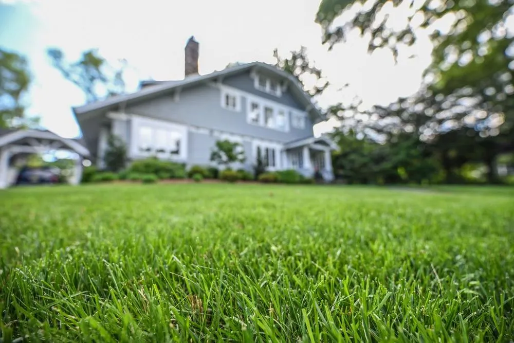 Professional yard cleanup service in Glen Rock, NJ by TLC Landscaping