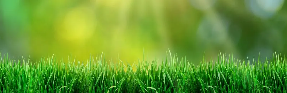 Affordable yard maintenance for outdoor upgrades across Klamath Falls, OR - TLC Landscaping