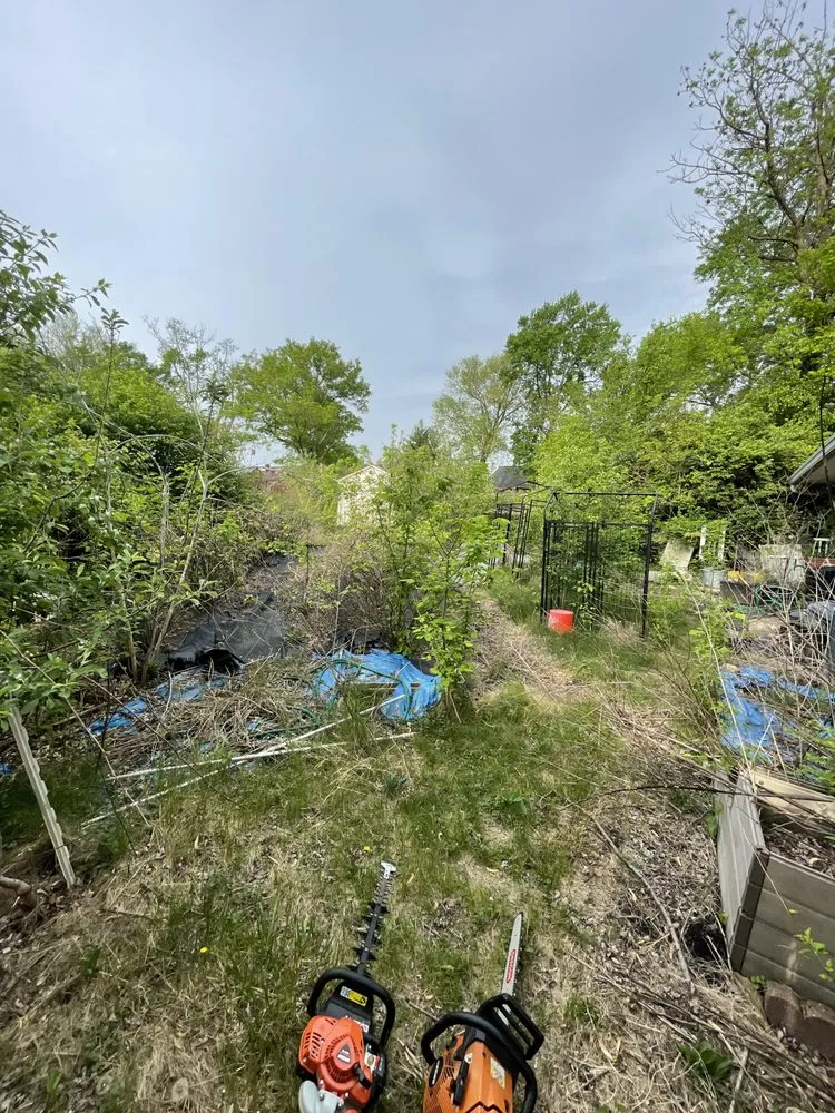 Expert landscape design experts serving Cincinnati, OH - TLC Lawn and Trees