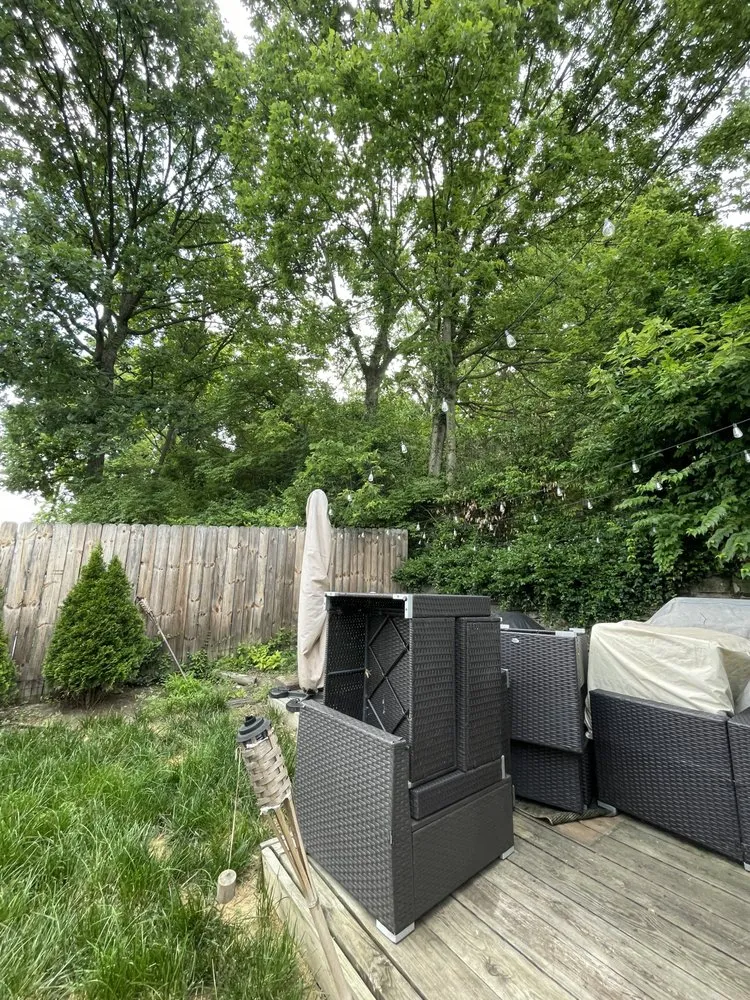 Custom landscaping services for outdoor upgrades in Cincinnati, OH by TLC Lawn and Trees