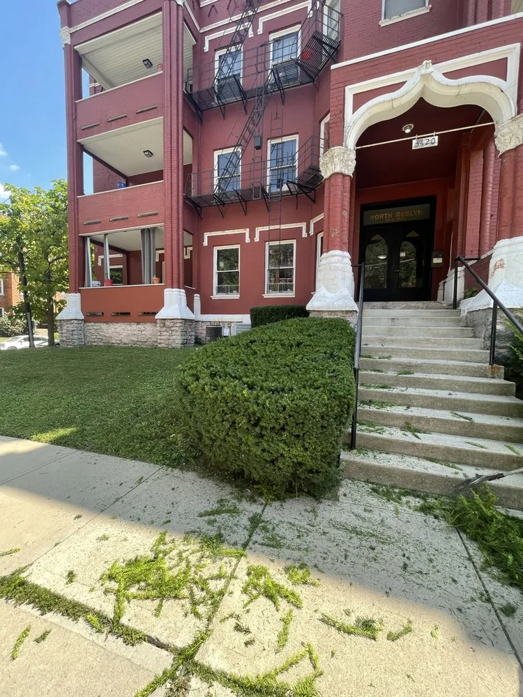 Expert yard cleanup service for year-round maintenance across Cincinnati, OH - TLC Lawn and Trees