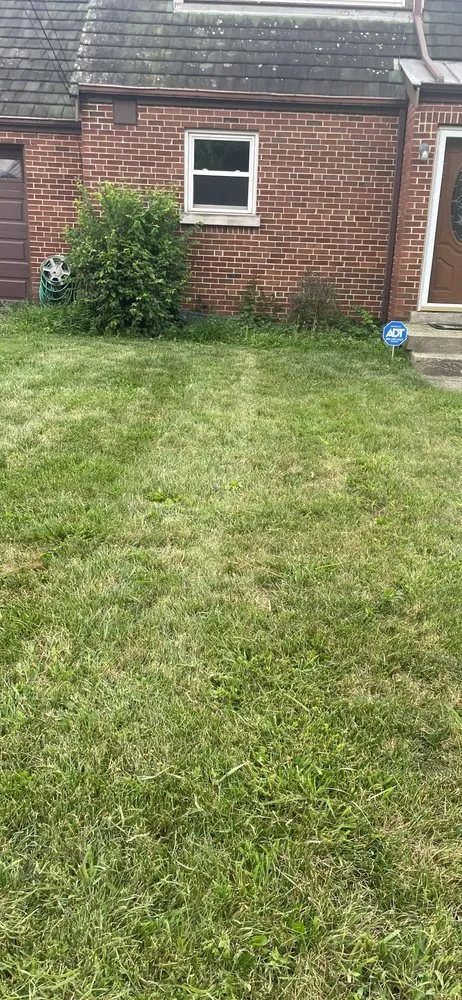 Reliable outdoor landscaping experts serving Cincinnati, OH - TLC Lawn and Trees