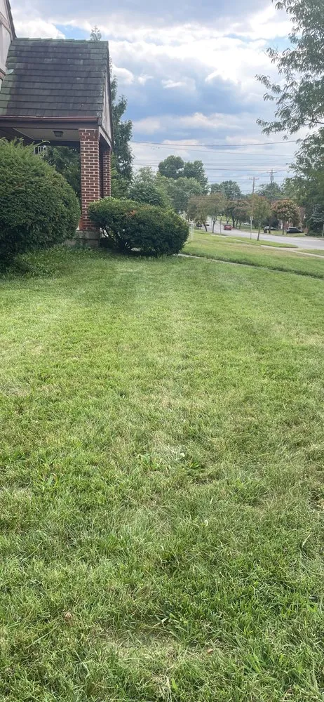 Trusted yard cleanup service for outdoor upgrades in Cincinnati, OH by TLC Lawn and Trees