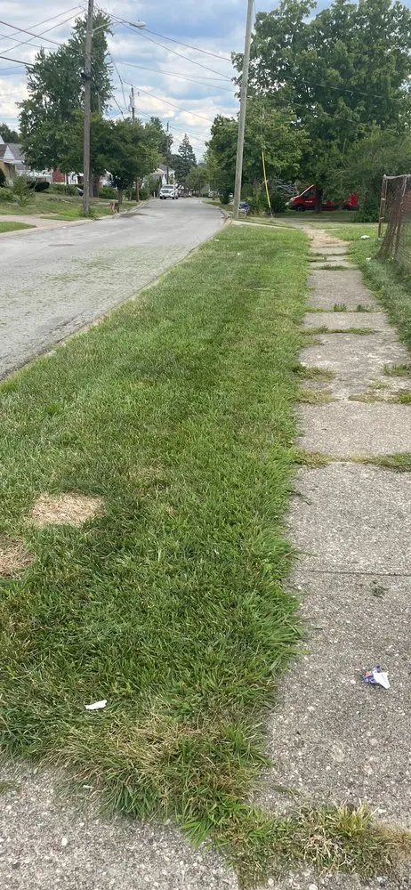 Professional residential landscaping for year-round maintenance across Cincinnati, OH - TLC Lawn and Trees