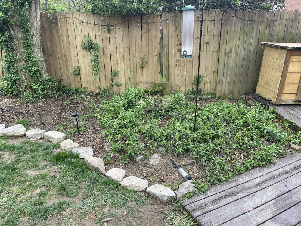 Trusted yard cleanup service experts serving Cincinnati, OH - TLC Lawn and Trees