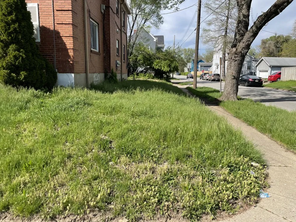 Affordable yard cleanup service in Cincinnati, OH - TLC Lawn and Trees