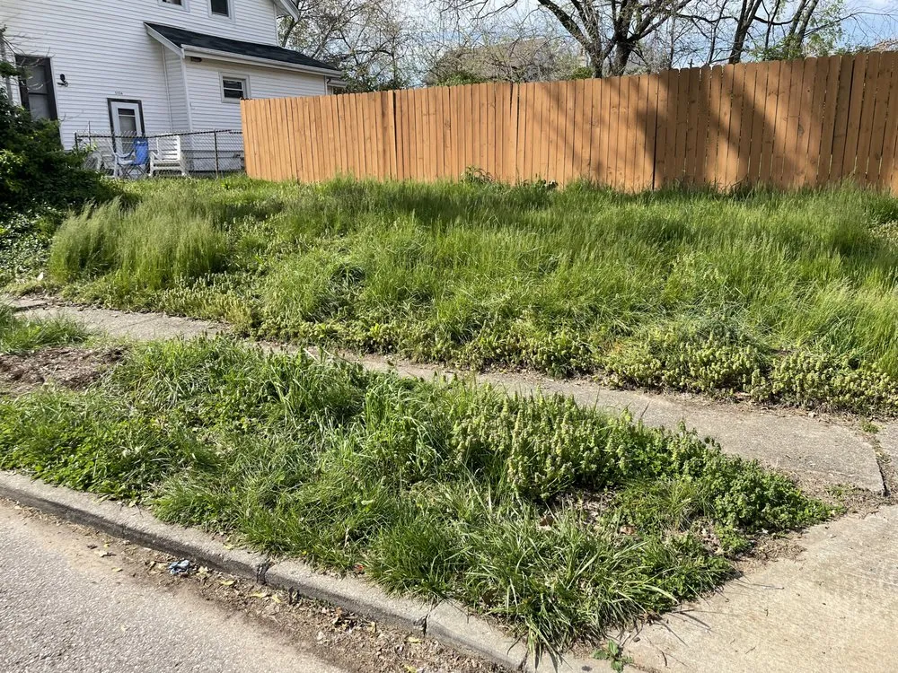 Affordable outdoor landscaping in Cincinnati, OH - TLC Lawn and Trees