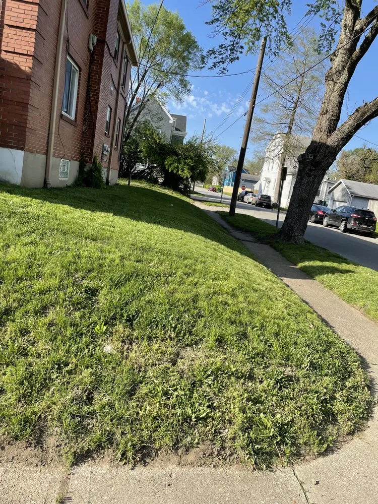 Affordable landscaping services for homes across Cincinnati, OH - TLC Lawn and Trees