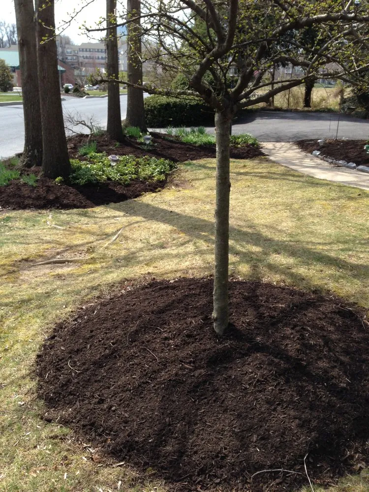 Affordable residential landscaping experts serving Camp Hill, PA - TLC Lawn Care & Landscaping