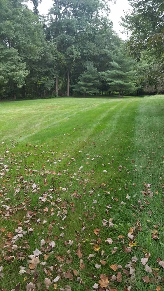 Custom garden landscaping for year-round maintenance in Camp Hill, PA by TLC Lawn Care & Landscaping