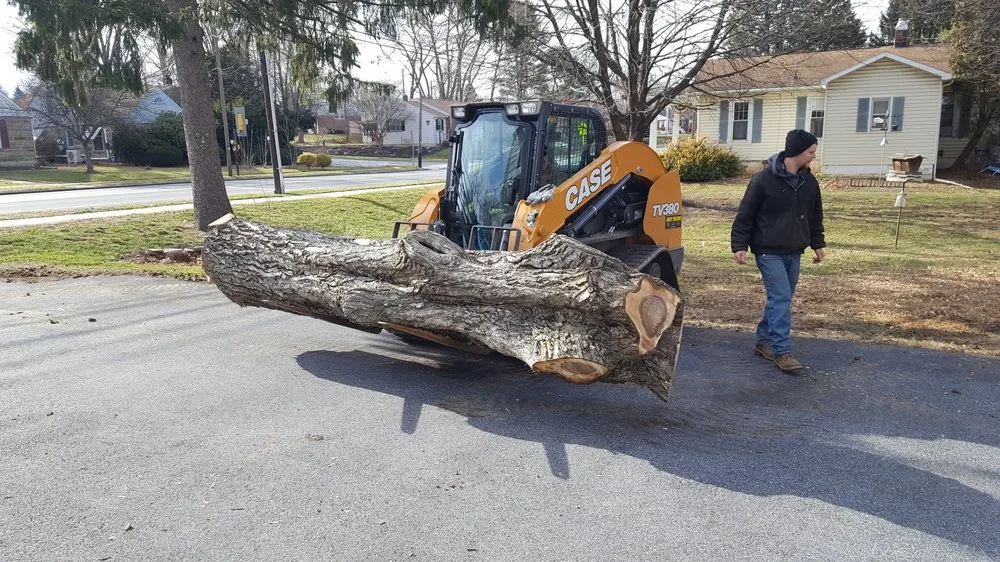 Affordable yard maintenance in Camp Hill, PA by TLC Lawn Care & Landscaping