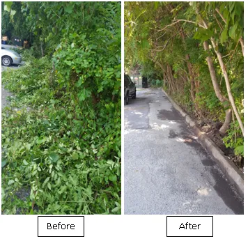 Expert residential landscaping in Camp Hill, PA - TLC Lawn Care & Landscaping