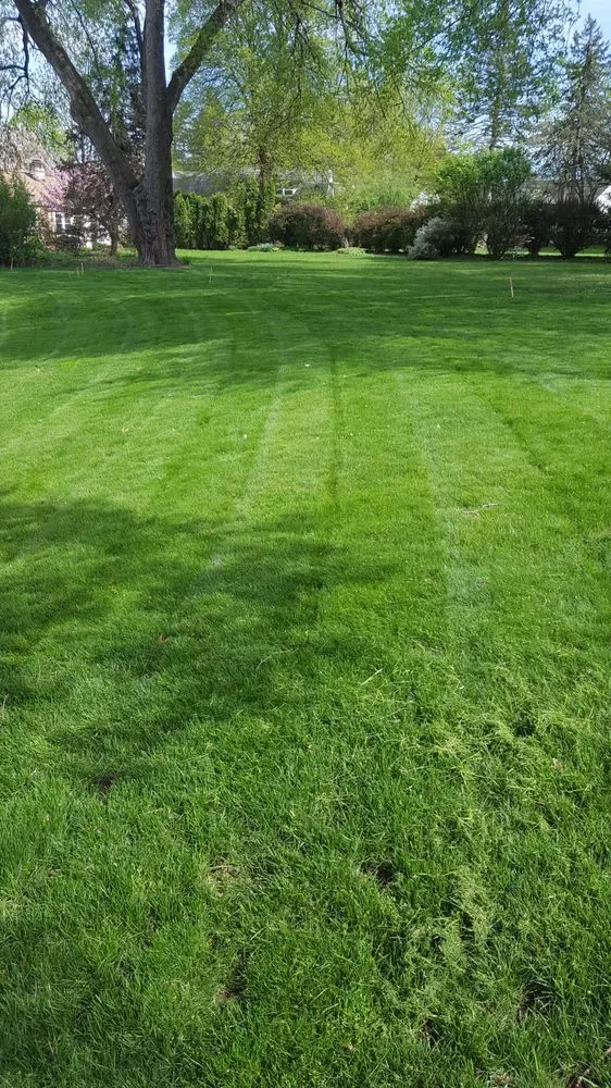 Expert yard maintenance near you across Camp Hill, PA - TLC Lawn Care & Landscaping