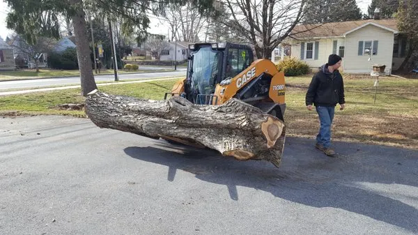 TLC Lawn Care & Landscaping