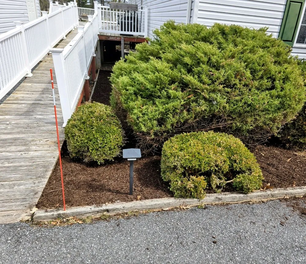 Professional yard cleanup service for year-round maintenance across Cresco, PA - TLC Lawn Care & Snow Removal