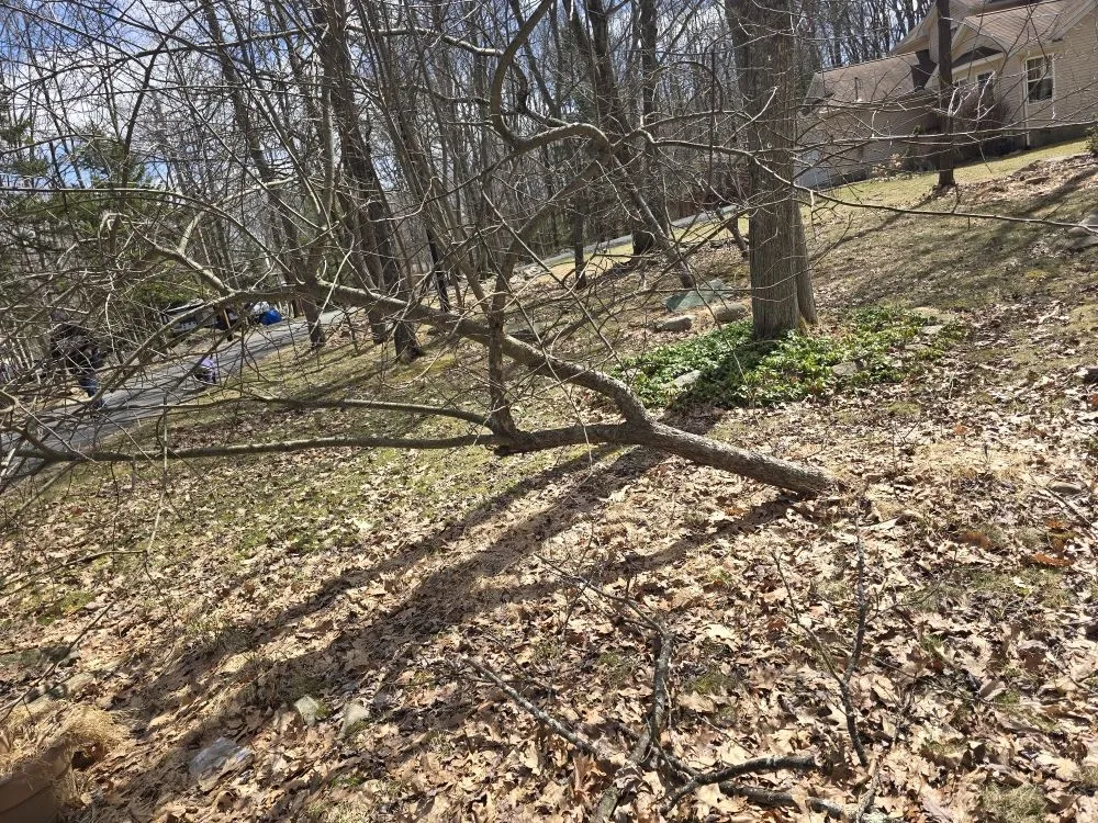 Local lawn mowing service near you in Cresco, PA by TLC Lawn Care & Snow Removal