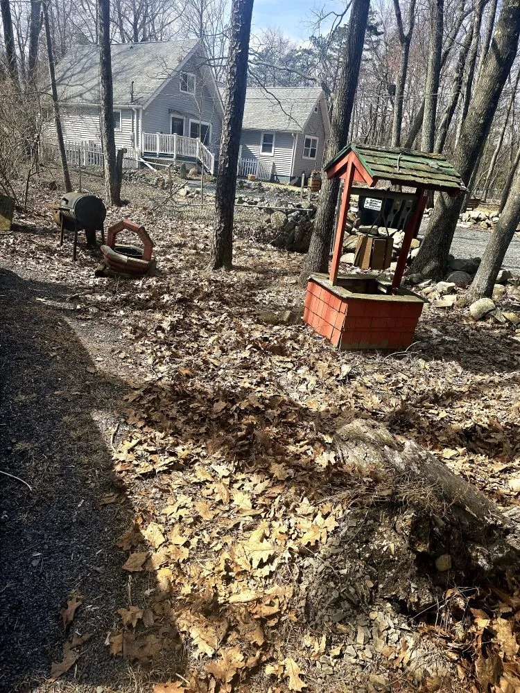 Reliable yard maintenance for year-round maintenance in Cresco, PA by TLC Lawn Care & Snow Removal
