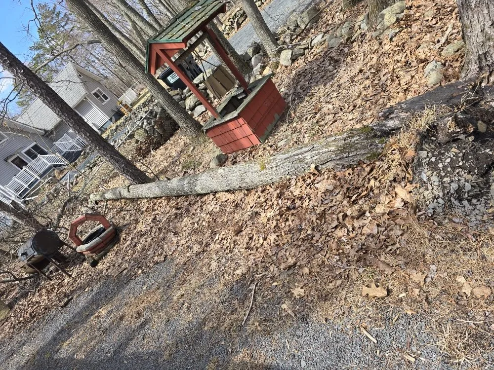 Local landscape design with custom design in Cresco, PA by TLC Lawn Care & Snow Removal