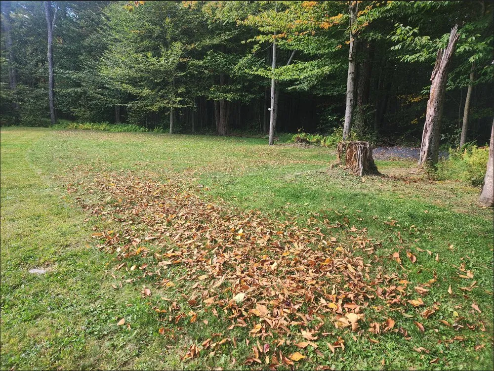 Professional outdoor landscaping near you in Cresco, PA by TLC Lawn Care & Snow Removal