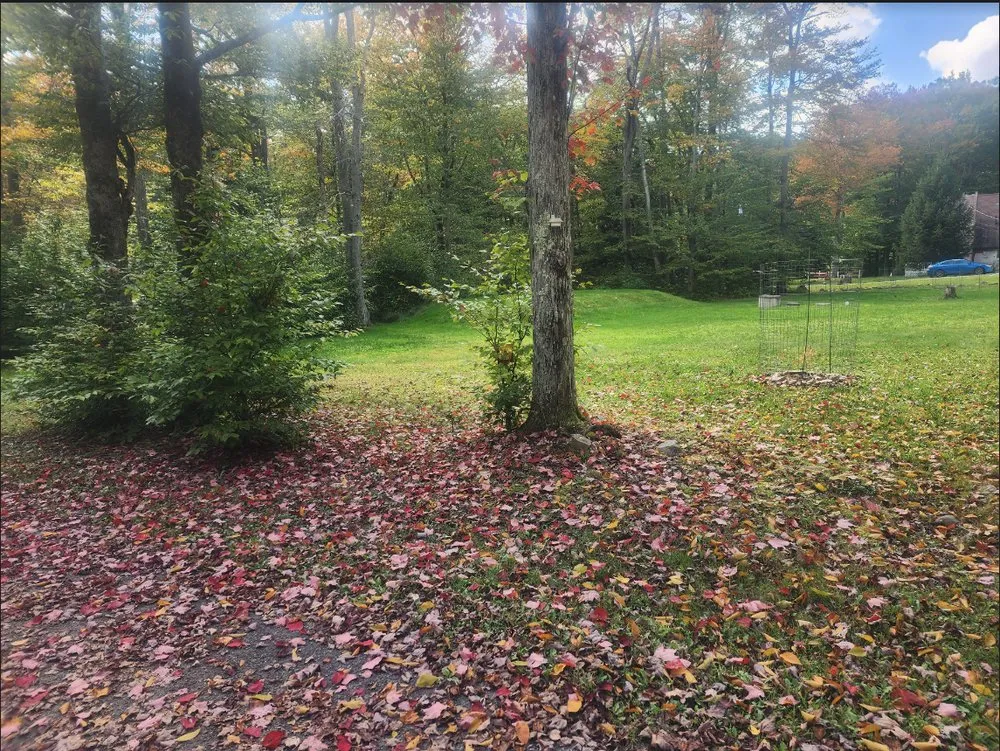 Trusted landscape installation in Cresco, PA - TLC Lawn Care & Snow Removal
