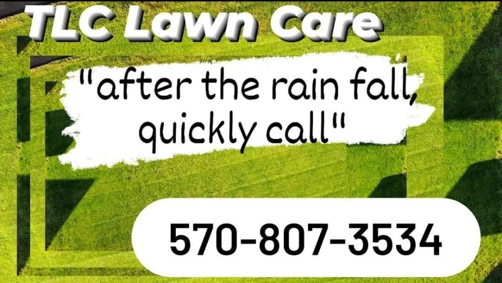 Custom landscape installation for beautiful yards in Cresco, PA by TLC Lawn Care & Snow Removal