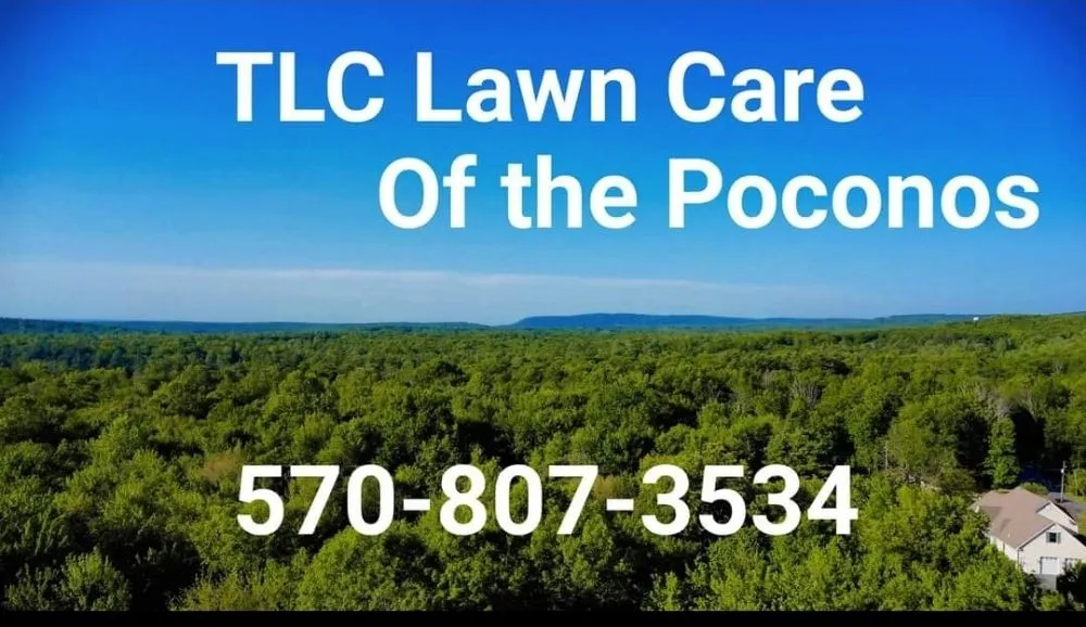 Local yard cleanup service for year-round maintenance in Cresco, PA by TLC Lawn Care & Snow Removal