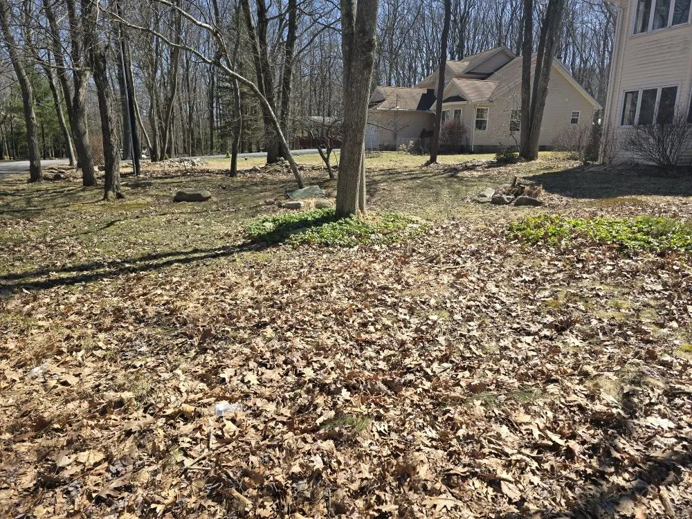 Top-rated landscaping services near you across Cresco, PA - TLC Lawn Care & Snow Removal