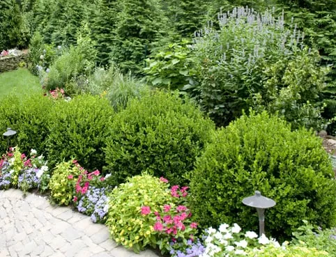 Expert lawn care service with custom design in Olathe, KS by Tlc Lawn Care