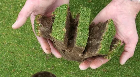 Local outdoor landscaping for outdoor upgrades across Olathe, KS - Tlc Lawn Care