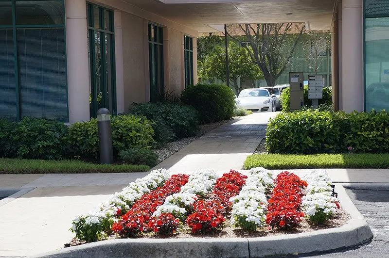 Trusted lawn care service for year-round maintenance in Naples, FL by TLC Lawn