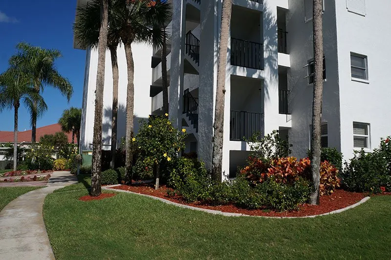 Custom yard cleanup service in Naples, FL - TLC Lawn