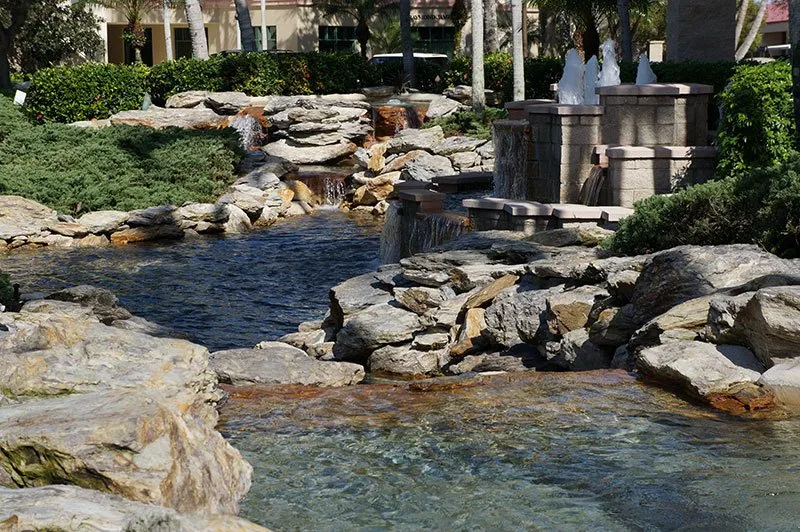 Professional lawn care service in Naples, FL - TLC Lawn