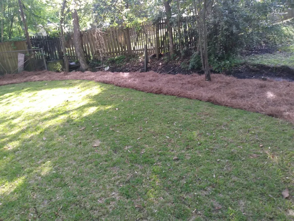 Trusted yard maintenance experts serving Summerville, SC - TLC Lawncare and Landscaping