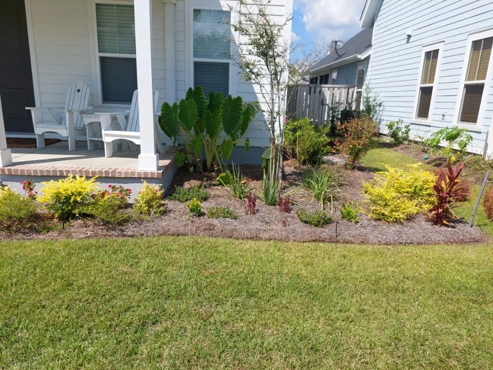 Reliable yard maintenance for residential properties across Summerville, SC - TLC Lawncare and Landscaping