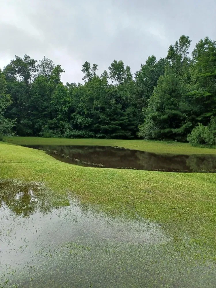 Local lawn care service for beautiful yards across Summerville, SC - TLC Lawncare and Landscaping