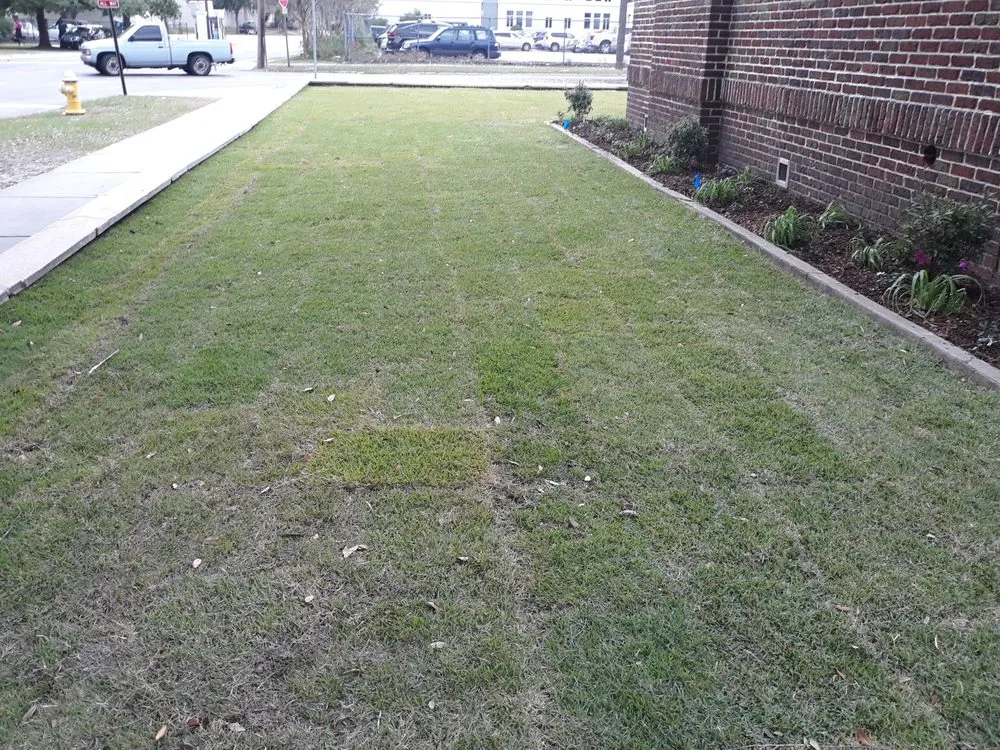 Professional landscape installation with custom design across Summerville, SC - TLC Lawncare and Landscaping