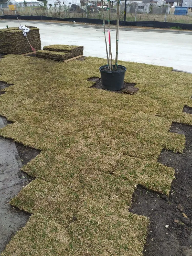 Expert outdoor landscaping experts serving Summerville, SC - TLC Lawncare and Landscaping