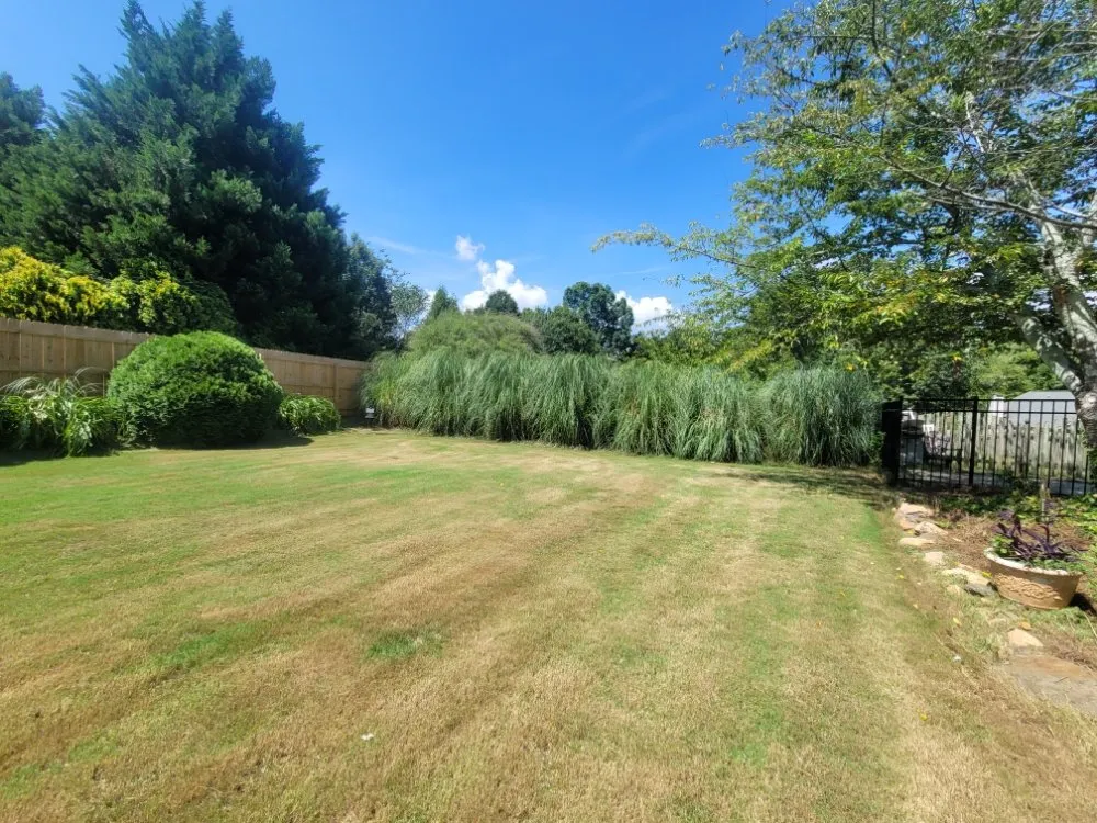 Professional outdoor landscaping in Winder, GA by TLC Lawncare and Landscaping