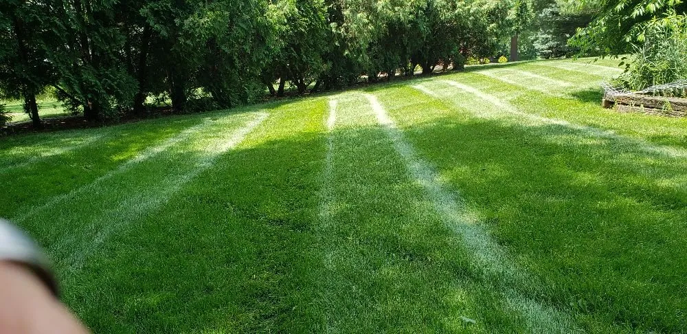 Top-rated landscape design with custom design across Muscatine, IA - TLC Maintenance