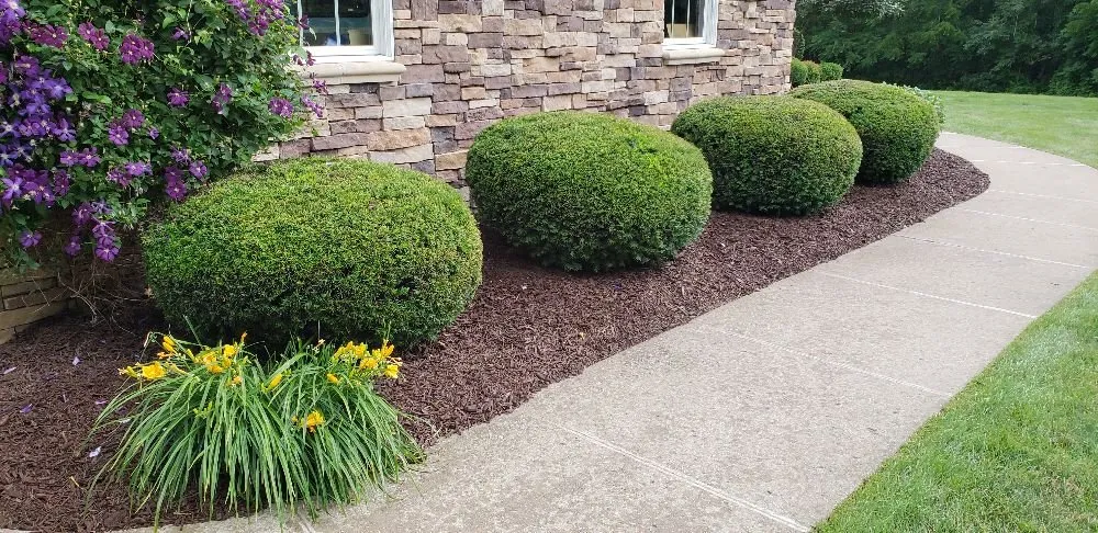 Professional yard maintenance for year-round maintenance across Muscatine, IA - TLC Maintenance