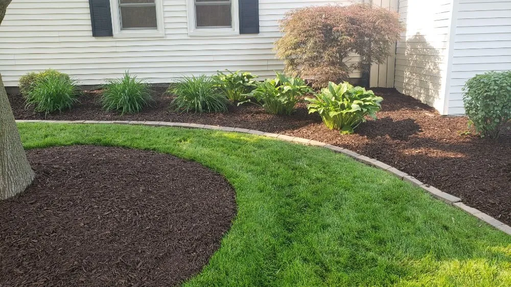 Top-rated yard cleanup service in Muscatine, IA by TLC Maintenance