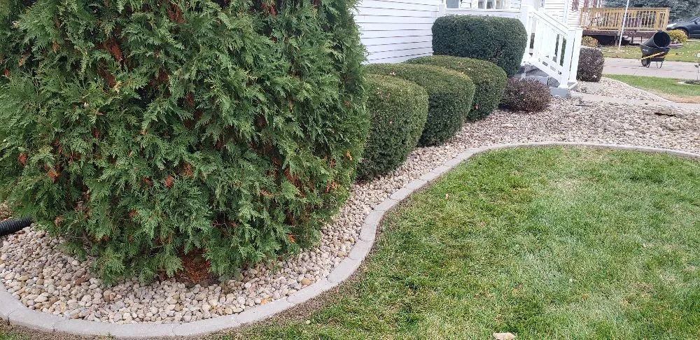 Custom lawn care service in Muscatine, IA by TLC Maintenance