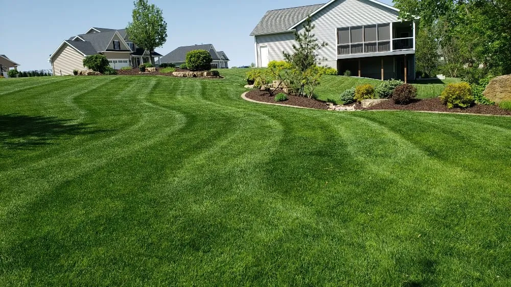 Expert landscape design experts serving Muscatine, IA - TLC Maintenance