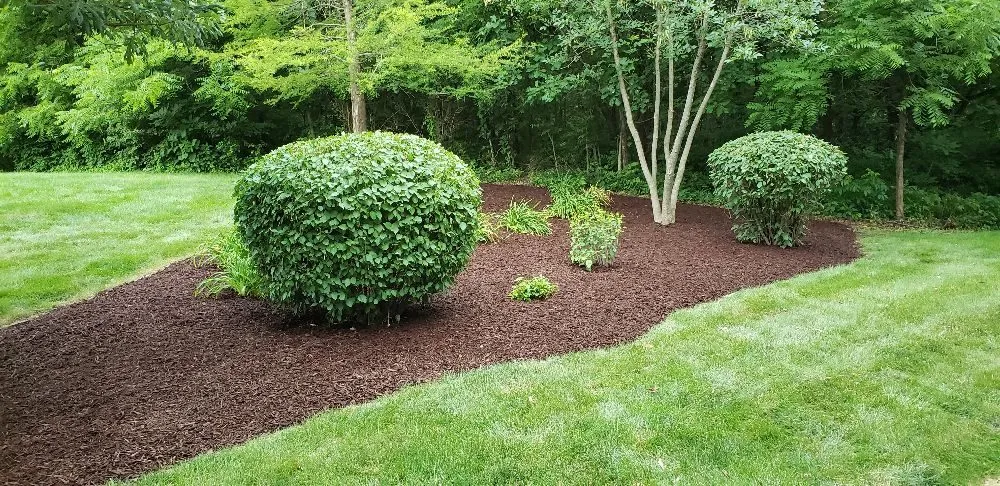 Local lawn mowing service experts serving Muscatine, IA - TLC Maintenance