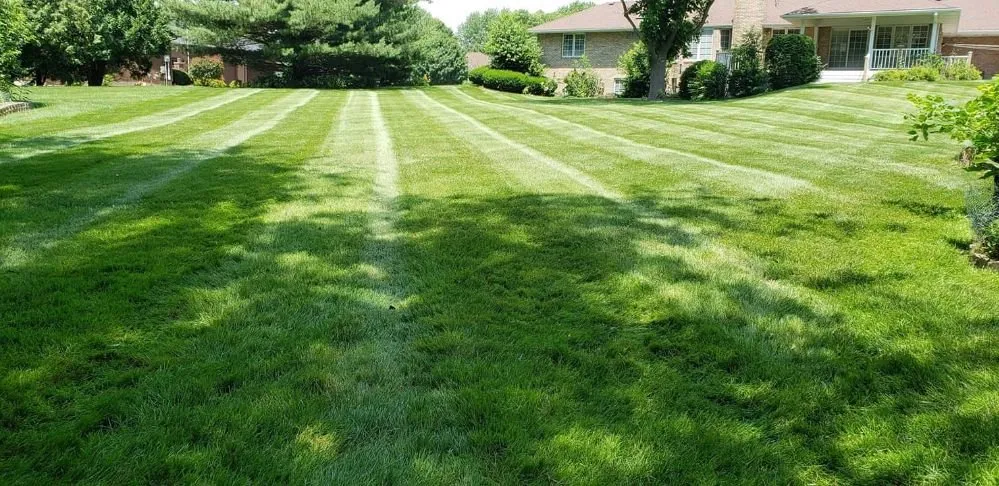 Professional residential landscaping in Muscatine, IA by TLC Maintenance