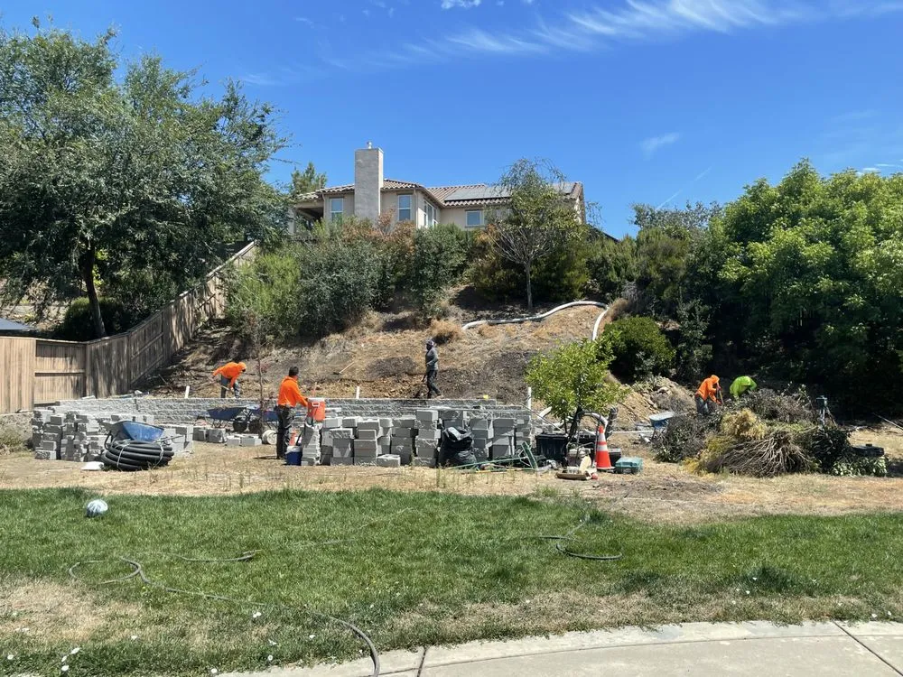 Trusted landscaping services for year-round maintenance across Newcastle, CA - TLC My Yard