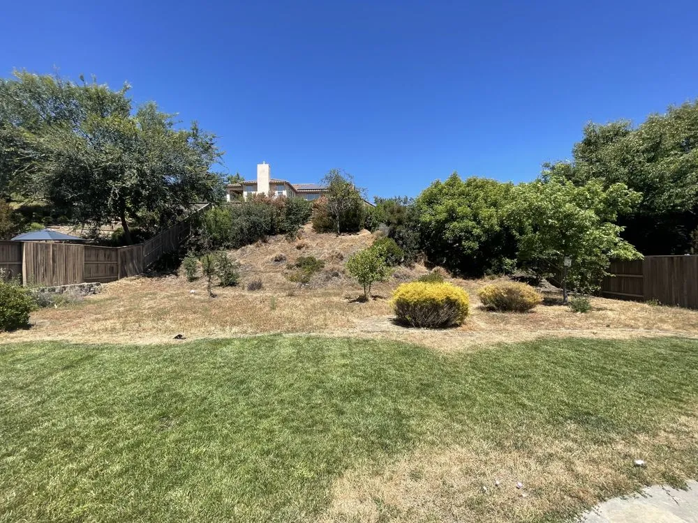 Reliable lawn mowing service in Newcastle, CA by TLC My Yard