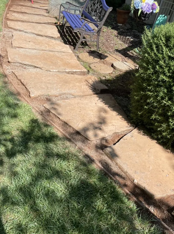 Reliable residential landscaping near you across Newcastle, CA - TLC My Yard