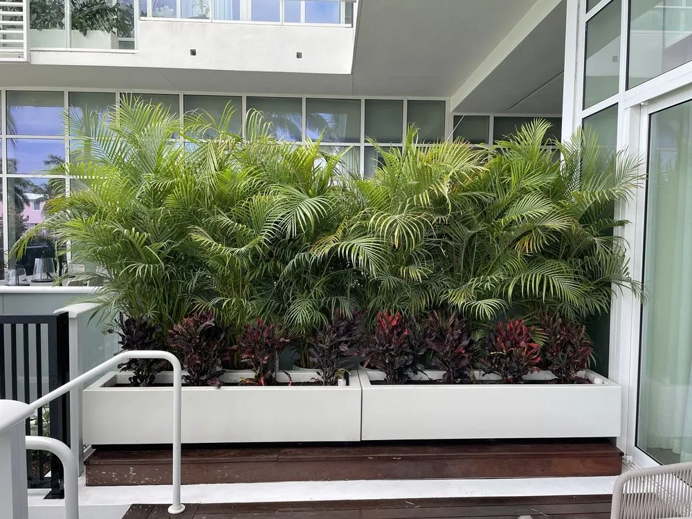 Affordable landscape installation for beautiful yards in Miami, FL by TLC of South Florida