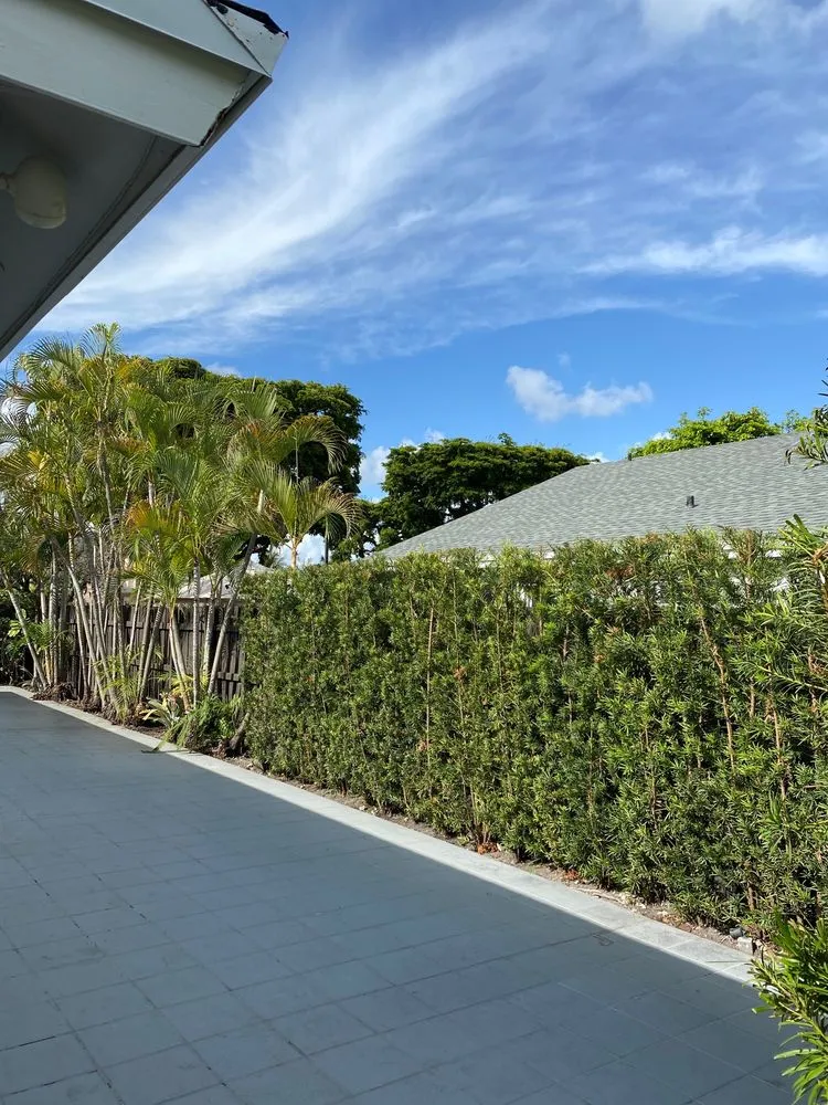 Local outdoor landscaping in Miami, FL - TLC of South Florida